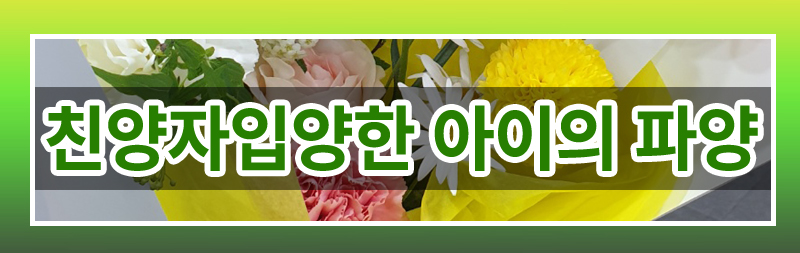 재혼하며 친양자로 입양한 아이 파양이 가능한지 여부 — 관련 이미지 4