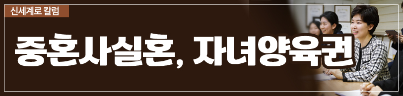 중혼적 사실혼 배우자의 재산분할 청구 등 — 관련 이미지 3