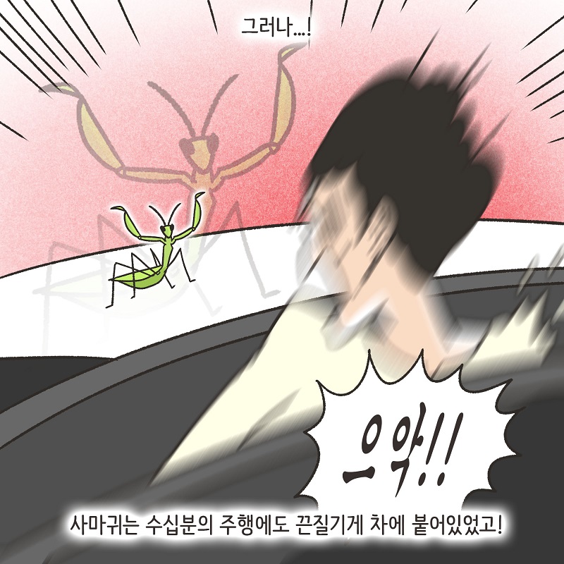 조변과 사마귀 — 웹툰 장면 15