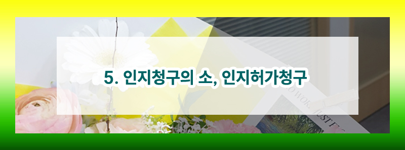 친생부인의 소와 친생부인허가 비교(별거 중 다른 남자의 아이를 출산한 경우) — 관련 이미지 6