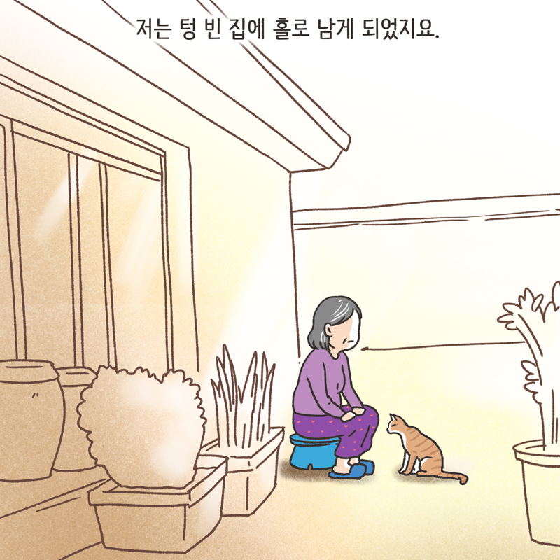 황혼이혼 (3) — 웹툰 장면 8