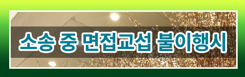 면접교섭권 이행확보 — 관련 이미지 2