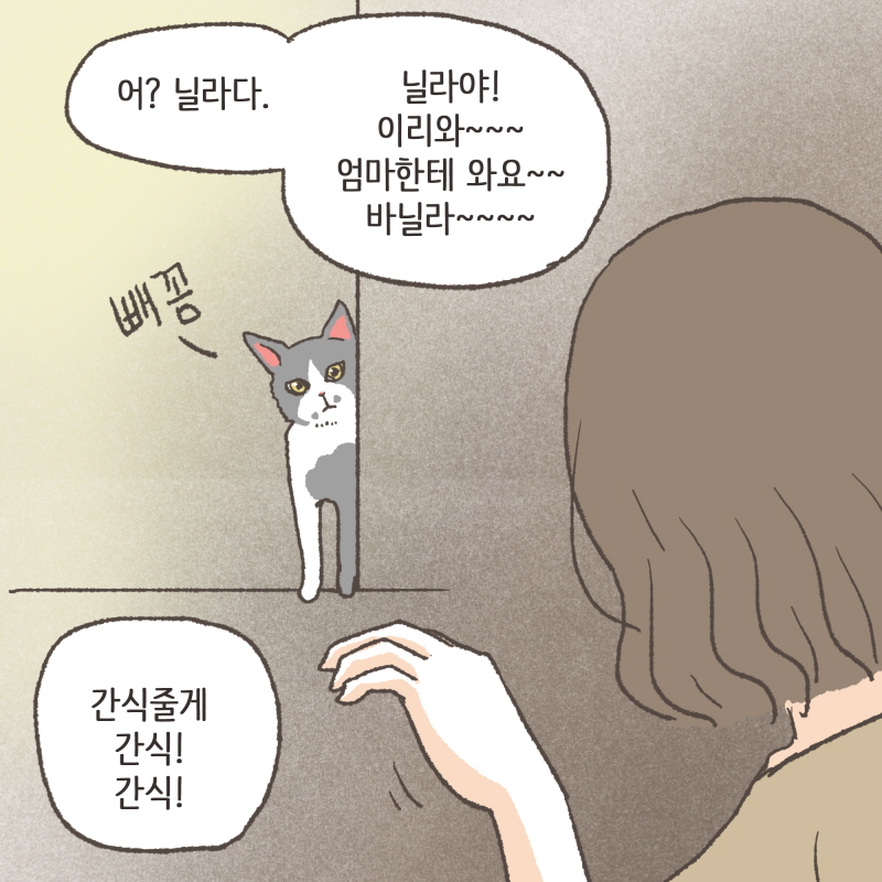 얼른와서 먹어 — 웹툰 장면 11