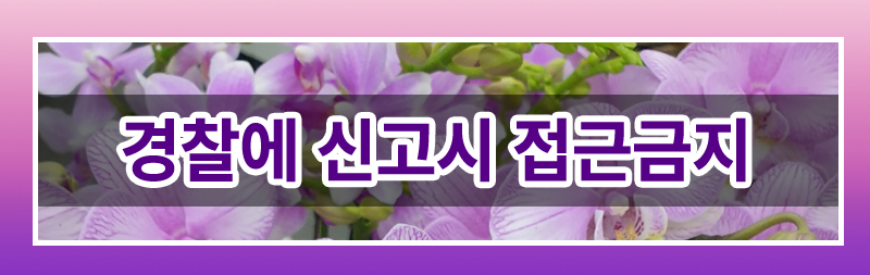가정폭력에서의 다양한 접근금지 조치들 정리 — 관련 이미지 3