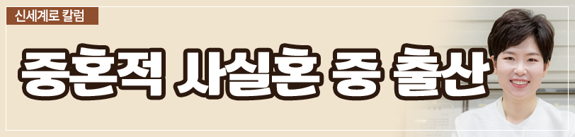 중혼적 사실혼 관계에서 재산분할 받을 수 있나요 — 관련 이미지 3