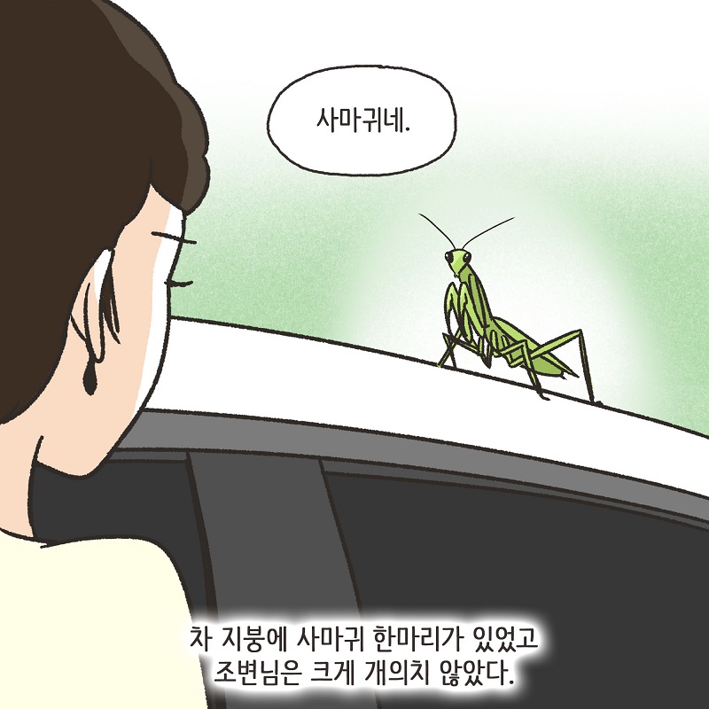 조변과 사마귀 — 웹툰 장면 7
